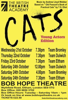 BTA Cats
