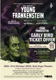 Young Frankenstein